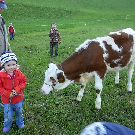 Vakantieboerderij Matzenhof *