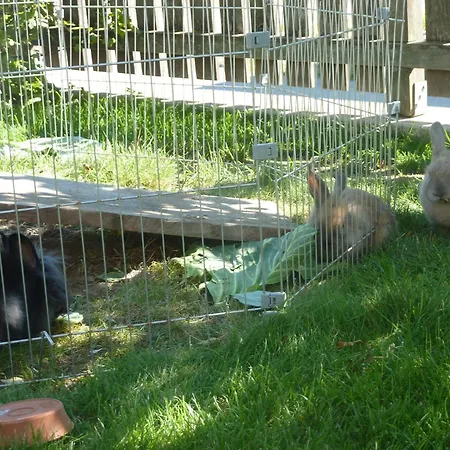 Matzenhof 팜스테이