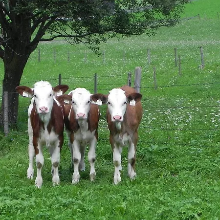 Matzenhof Vakantieboerderij Matrei in Osttirol
