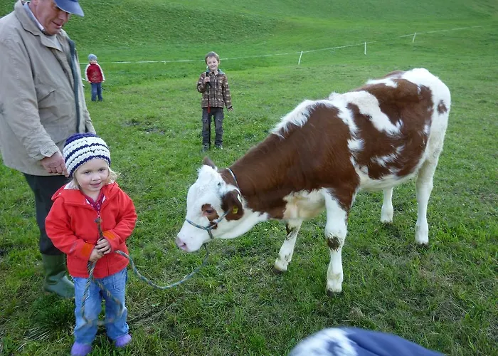 Bauernhof Matzenhof *
