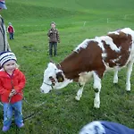 Farmház Matzenhof *