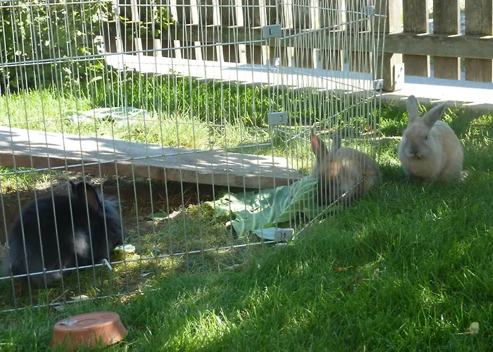 Matzenhof Çiftlik konaklama